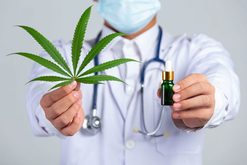 Férfi orvos kezében marihuána levéllel és cbd olajjal