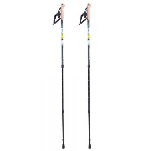 Nordic Walking túrabot