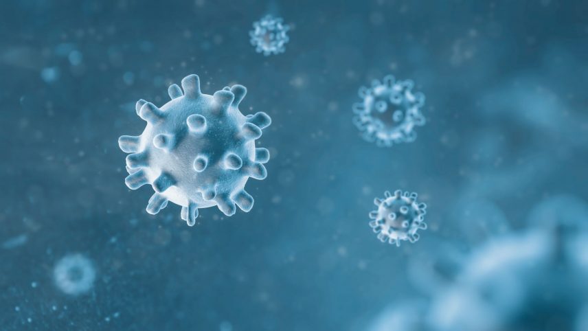 Melyik vírusirtó véd neg a vírusokkal szemben